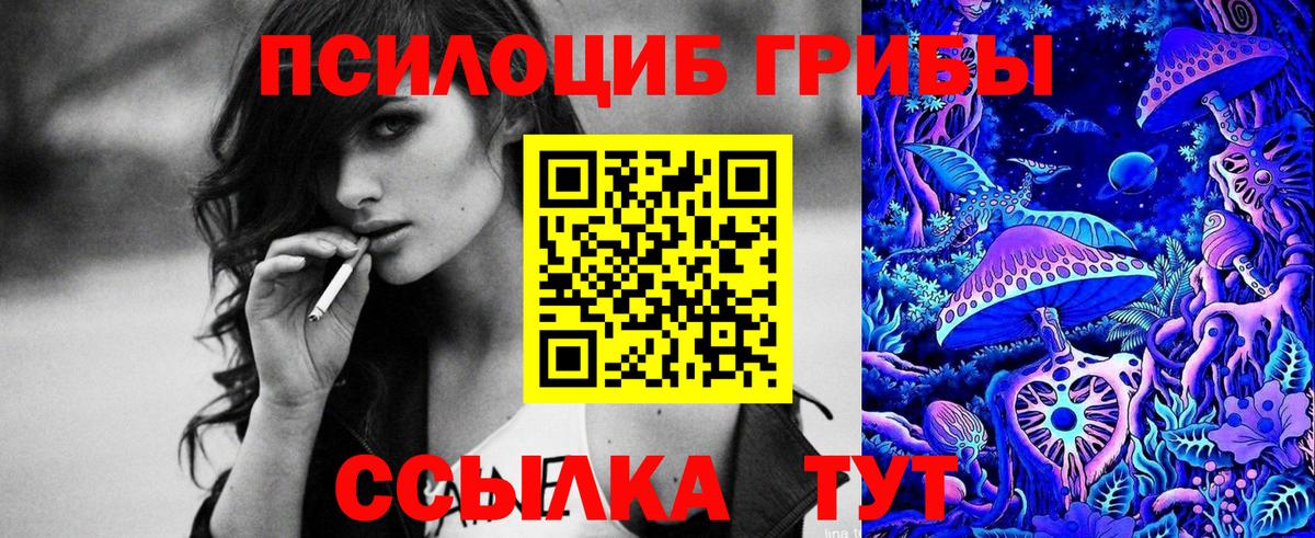 Семёнов  Галлюциногенные грибы Psilocybine cubensis  Псилоцибиновые грибы Cubensis  Вход с VPN 
