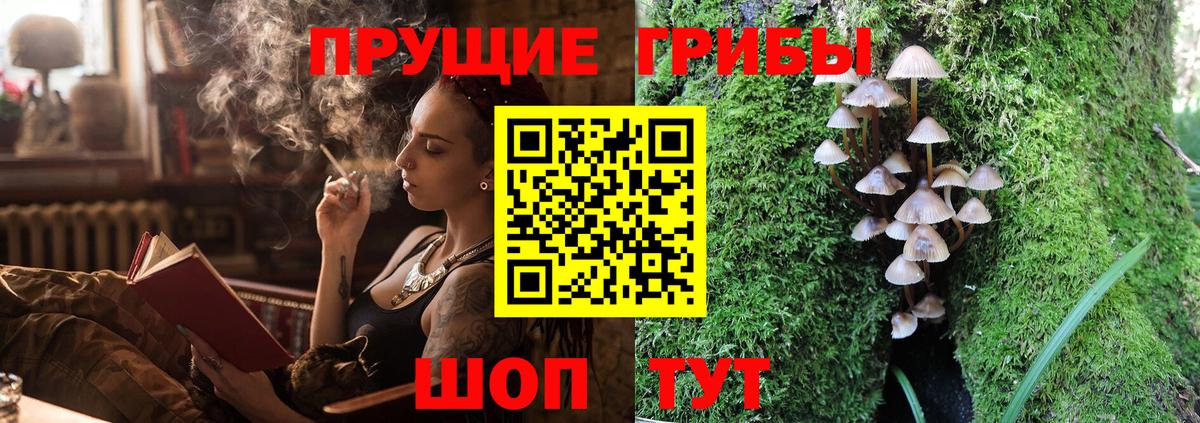 Галлюциногенные грибы мухоморы Семёнов