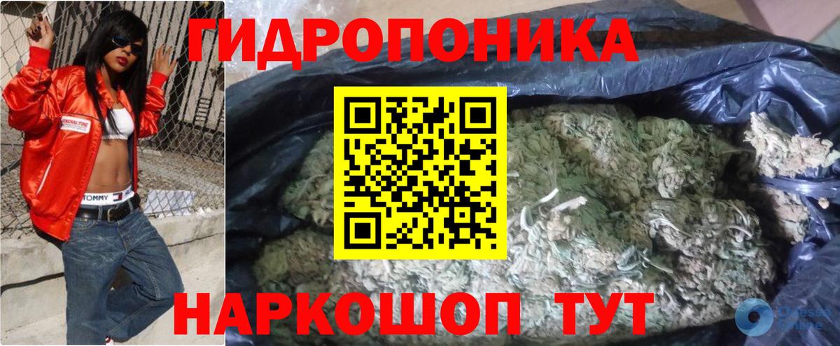 Канабис сатива Семёнов